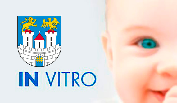 Aktualny efekt miejskiego in vitro: 84 dzieci